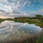 Een landschapsdienst avant la lettre: de Amsterdamse Waterleidingduinen