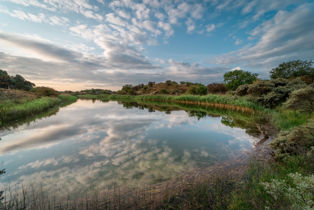 Een landschapsdienst avant la lettre: de Amsterdamse Waterleidingduinen