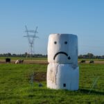 'Dit kabinet gaat voor de boeren en houdt alleen rekening met de fingen waar ze echt niet omheen  kunnen. De vraag is of je het daarmee redt.' Foto Shutterstock