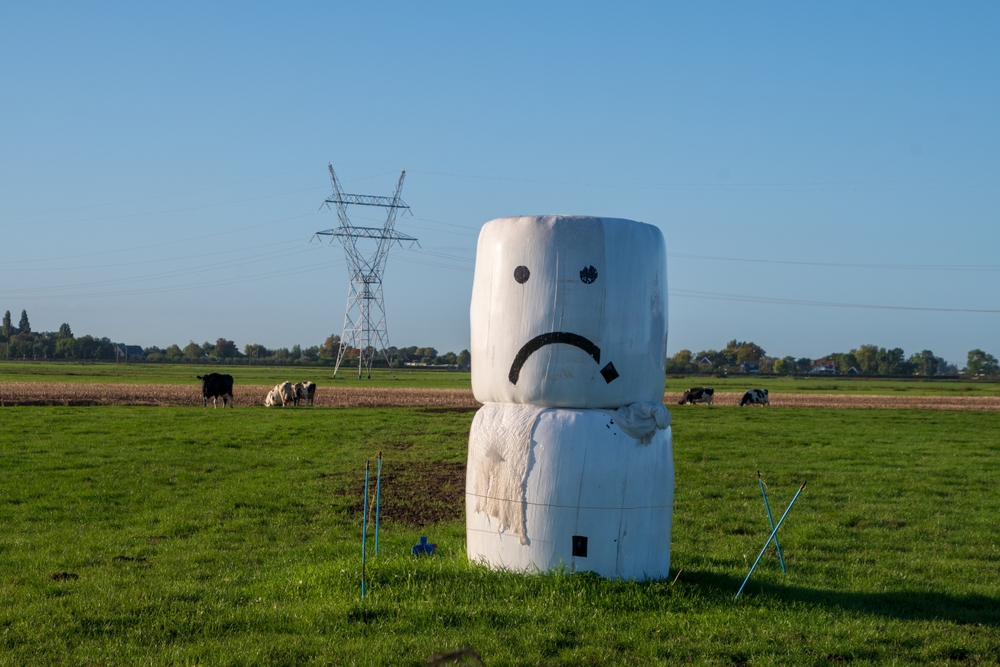 'Dit kabinet gaat voor de boeren en houdt alleen rekening met de fingen waar ze echt niet omheen  kunnen. De vraag is of je het daarmee redt.' Foto Shutterstock