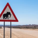 Waarschuwingsbord voor olifanten in Namibië.